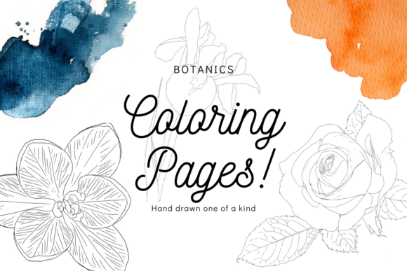 Download Botanic Florals Line Art Coloring Pages - Botanic Collection